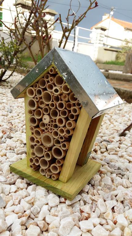 Authentique Gite 1950 Poitiers Futuroscope Aquascope, 1A9Prsn, 3 Pkg, 3 Etoiles A 6Prsn Et 3 Appoints Eco-Responsable Eksteriør billede